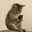 catonfone