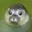 Walruse