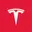 TSLA AI