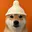 Wdog