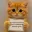 gato