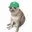 PUMPCAT