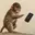 FONELESS
