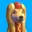HOTDOG