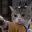 CatFu