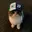 CAPCAT