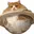 CATURN