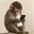 babyfone