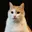 黃阿瑪