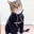 HOODCAT