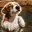 SplashDog