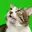HighCat