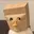 ZDUCK