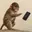 FONELESS