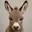 Donkey