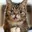 wemew