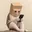 zcatfone