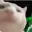 StockCat