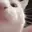 VibeCat
