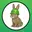 PumpBunny