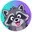 RACOONSOL