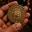 CATECOIN