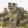 MONEYCAT