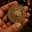 CATECOIN