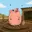 Pigtasio