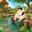 nekomaru