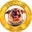 BITDOGE