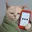TEXTIT