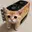 GPUCAT