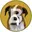 BAILEY