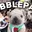 PIBBLE