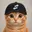 stonkcat