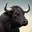 BullCurl