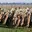 QUACK