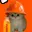 BONKCAT