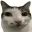 nomcat