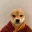 taodog