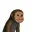 chimp