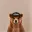 Ubear